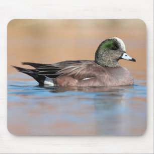 Male American Wigeon Mouse Pad