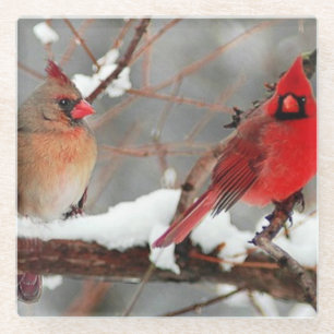 male and female cardinals glass coaster
