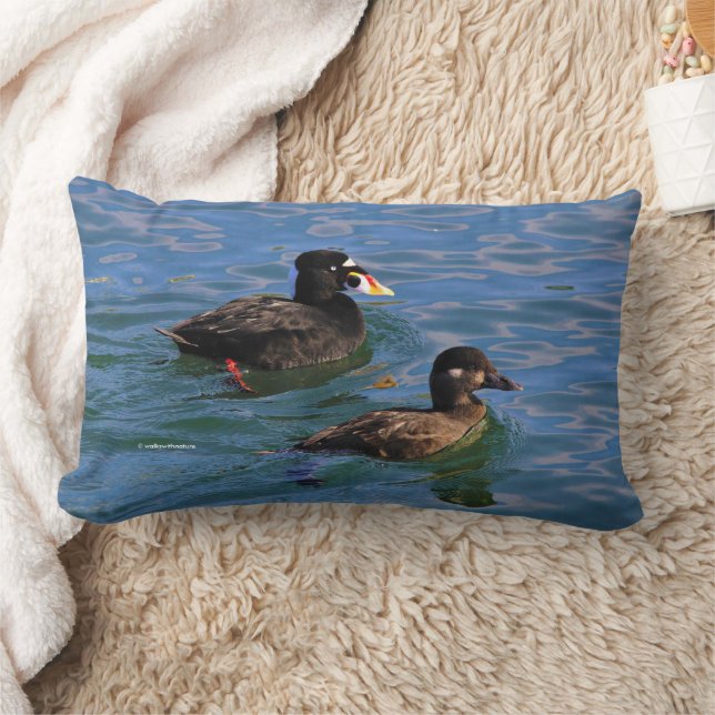 Male and Female Surf Scoter Ducks at the Pier Lumbar Cushion (Blanket)