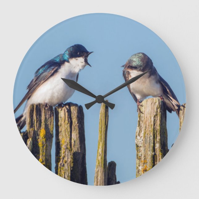 Male and female Tree Swallow Large Clock (Front)