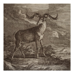 Male and young Red deer Poster