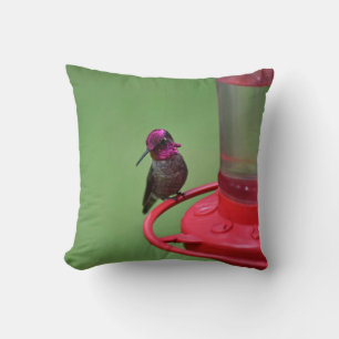 Male Anna's Hummingbird Pillow