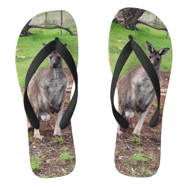 Male Australian Kangaroo,  Flip Flops (Footbed)