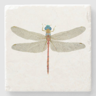 Male Blue-Faced Meadowhawk Dragonfly Coaster
