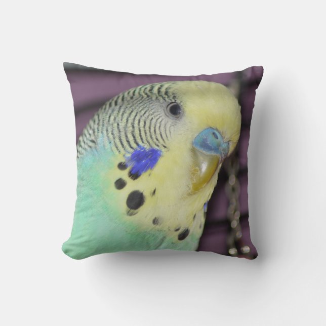 Male Budgie/ Parakeet Cushion (Front)
