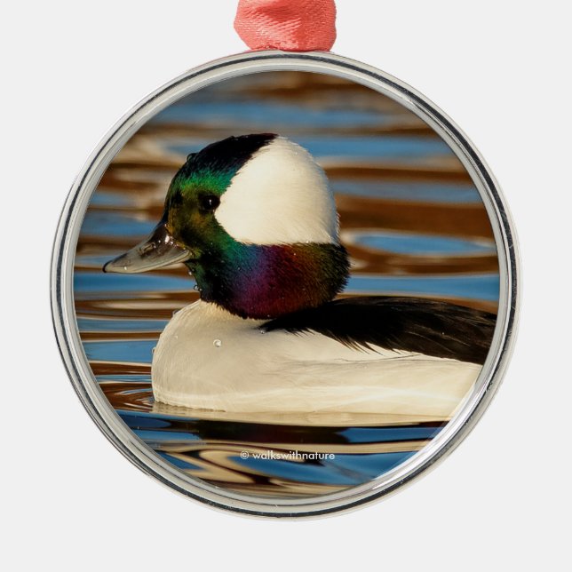 Male Bufflehead in the Afternoon Sun Metal Tree Decoration (Front)