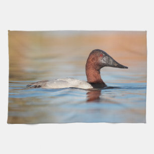 Male canvasback duck tea towel