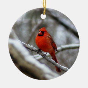 Male Cardinal Ceramic Tree Decoration
