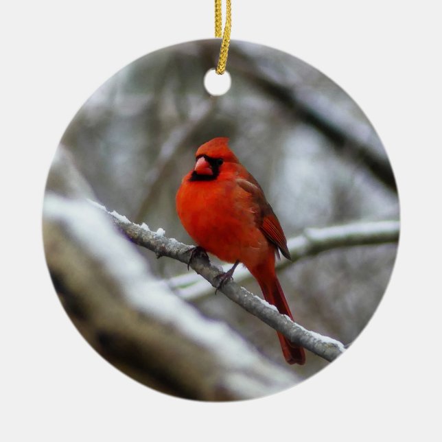 Male Cardinal Ceramic Tree Decoration (Front)