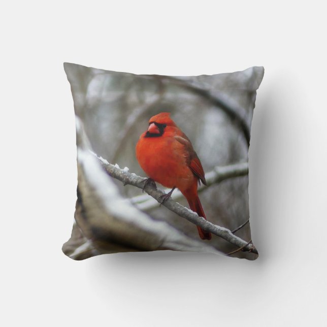 Male Cardinal Cushion (Front)