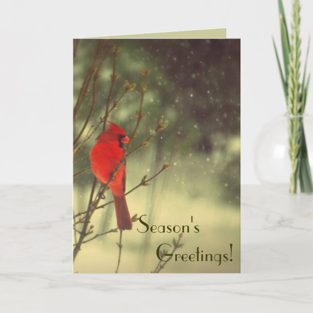Male Cardinal Holiday Card (Front)