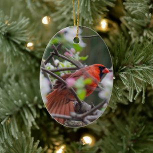 Male Cardinal in Springtime Ceramic Tree Decoration