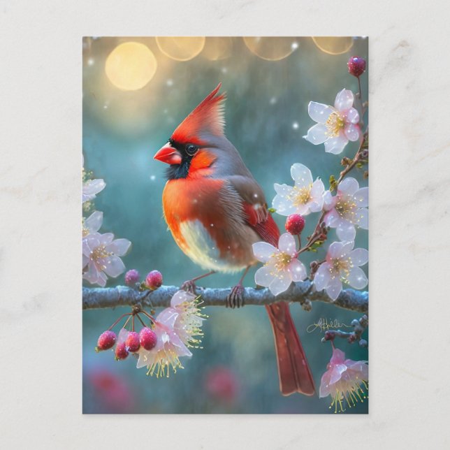 Male Cardinal in the Moonlight Cherry Blossoms Postcard (Front)