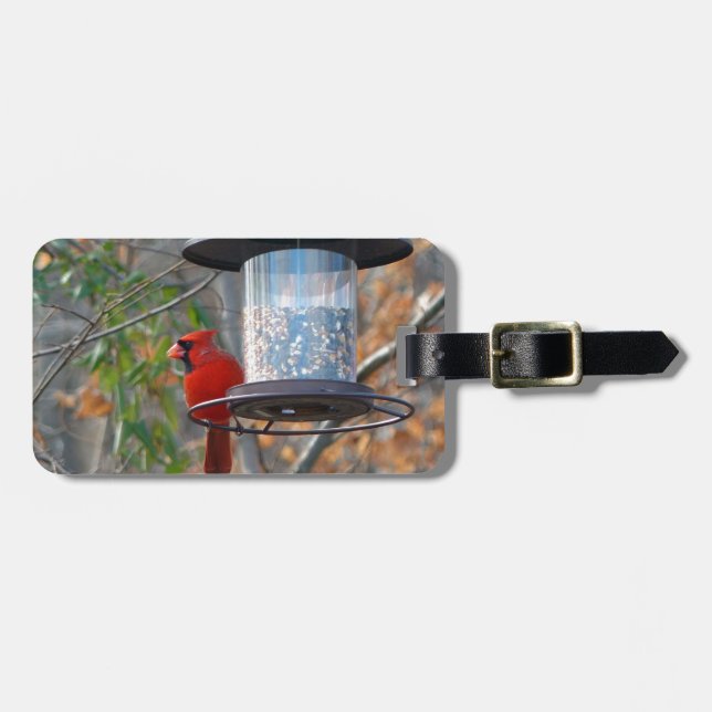 Male Cardinal Luggage Tag (Front Horizontal)