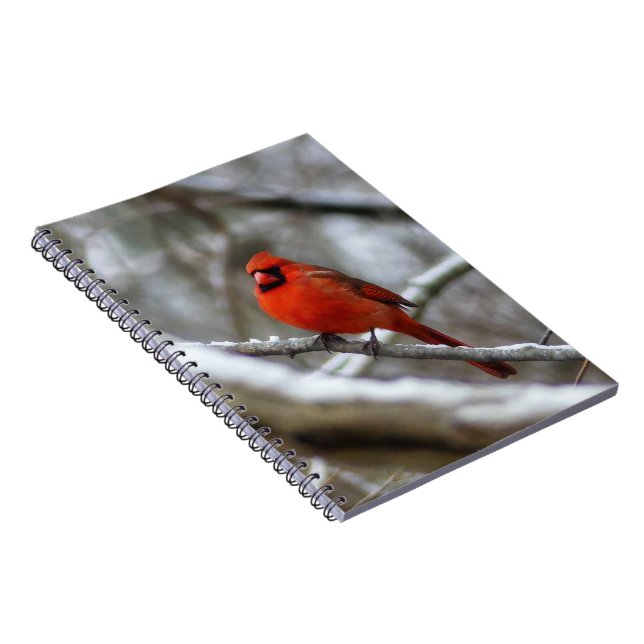 Male Cardinal Notebook (Right Side)