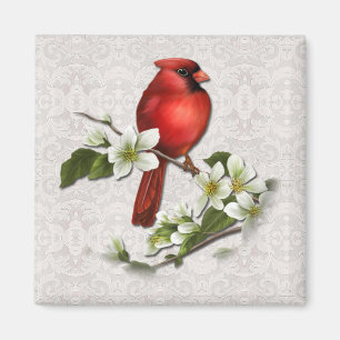 Male Cardinal on Dogwood Magnet