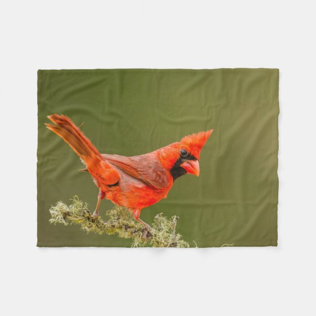 Male Cardinal on Limb Fleece Blanket (Front (Horizontal))