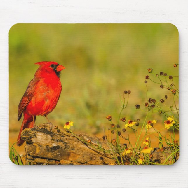 Male Cardinal on Log Mouse Pad (Front)