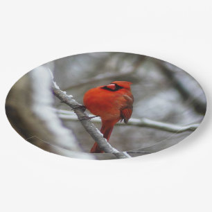 Male Cardinal Paper Plate