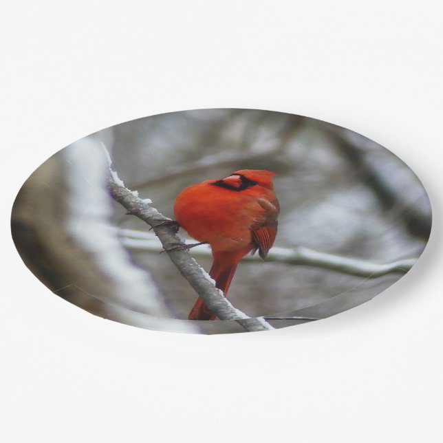 Male Cardinal Paper Plate (Angled)