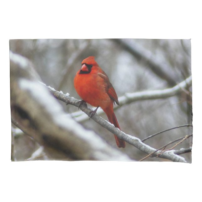 Male Cardinal Pillowcase (Front)