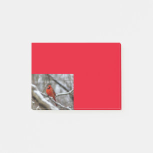 Male Cardinal Post-it Notes