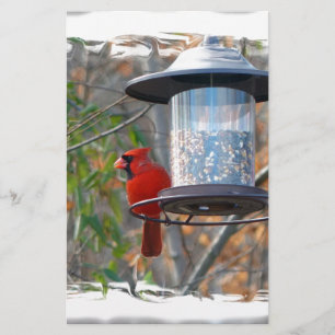 Male Cardinal Stationery