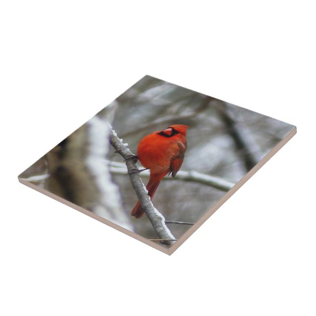 Male Cardinal Tile (Side)