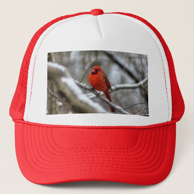 Male Cardinal Trucker Hat (Front)