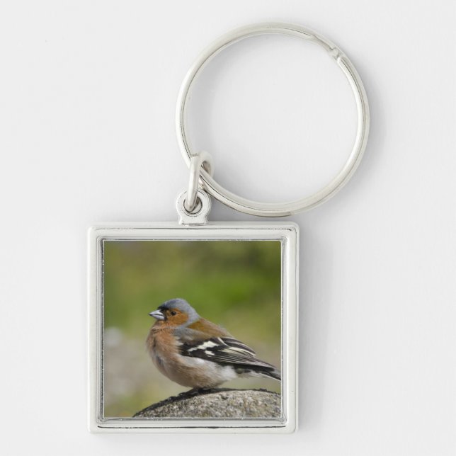 Male Chaffinch (WILD: Fringilla coelebs) Key Ring (Front)