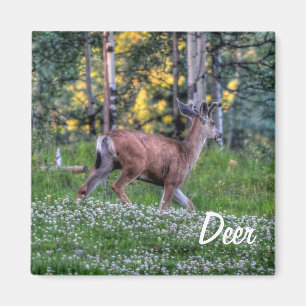 Male Deer (Buck) and Clover Wildlife Animal Magnet