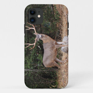 Male Deer in Yosemite iPhone 5 Case-Mate iPhone Case