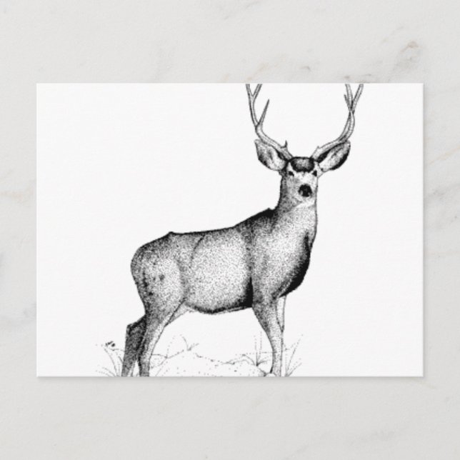 male deergif postcard (Front)