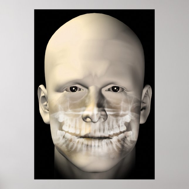male dental scan poster (Front)