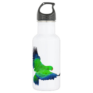 Male Eclectus 532 Ml Water Bottle