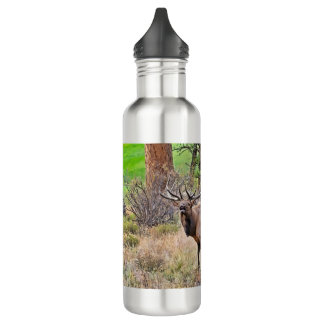 Male Elk in Estes Park, Colorado during September 710 Ml Water Bottle