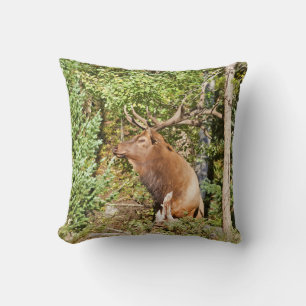 Male Elk in Rocky Mountain National Park Cushion