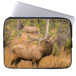 Male elk Rocky Mountain National Park, Colorado Laptop Sleeve