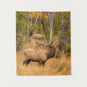 Male elk Rocky Mountain National Park, Colorado Tapestry