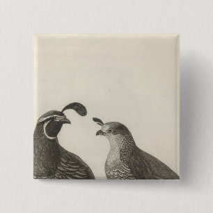 Male & Female Partridge of California 15 Cm Square Badge