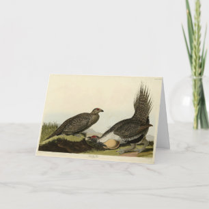 (Male Fowl) of the Plains Audubon Birds of America Card
