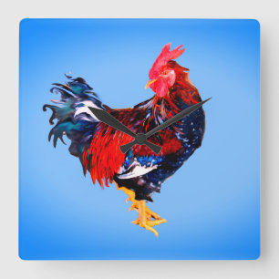 male gallinaceous ,rooster square wall clock