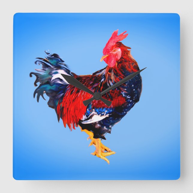 male gallinaceous ,rooster square wall clock (Front)