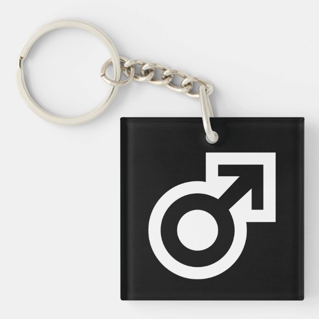 Male gender arrow symbol public WC men's toilet Key Ring (Front)