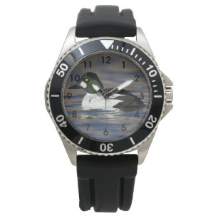 Male Goldeneye duck Watch