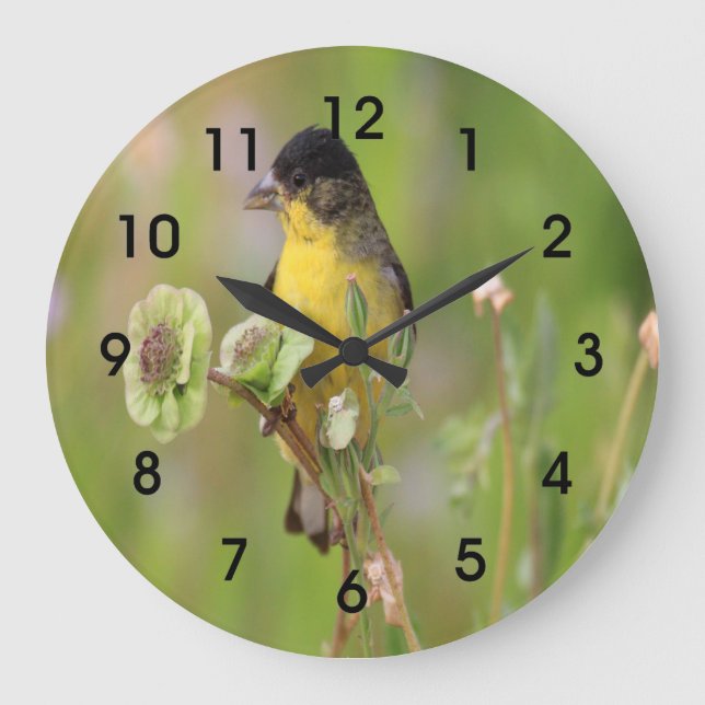 Male Goldfinch perched on flowers Large Clock (Front)