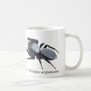 Male Great Basin Jumping Spider Mug