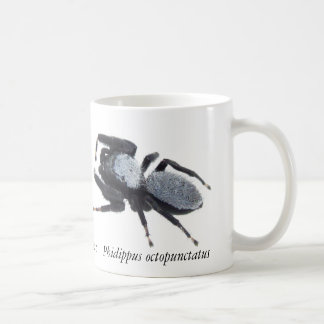 Male Great Basin Jumping Spider Mug
