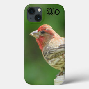 Male House Finch Case-Mate iPhone Case