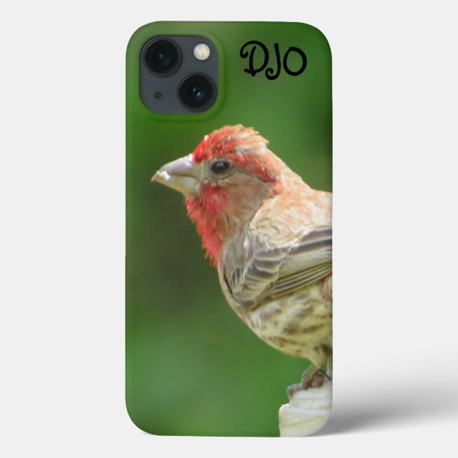 Male House Finch Case-Mate iPhone Case (Back)